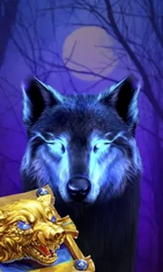 Book Of The Night Wolf