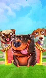 The Dog House